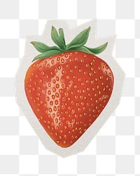 PNG realistic strawberry sticker  white border, transparent background