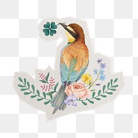 PNG watercolor bird sticker  white border, transparent background