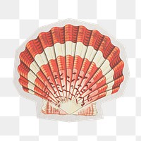 PNG Scallop shell vintage sticker  white border, transparent background