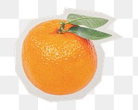 PNG orange citrus fruit sticker  white border, transparent background