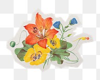 PNG spring flower sticker  white border, transparent background