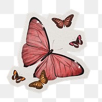 PNG butterfly aesthetic sticker  white border, transparent background