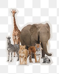 PNG safari animals zoo sticker white border, transparent background