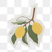 PNG hand drawn lemon sticker  white border,  transparent background