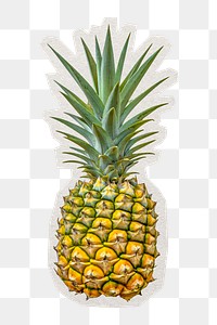 PNG fresh pineapple sticker with white border, transparent background