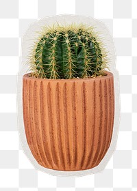 PNG Barrel cactus  sticker with white border, transparent background