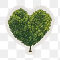 PNG heart tree sticker with white border,  transparent background