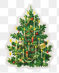 PNG Christmas tree sticker with white border, transparent background 