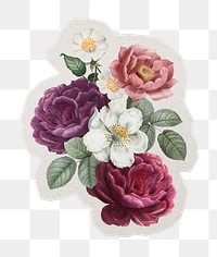 PNG beautiful roses sticker with white border,  transparent background 