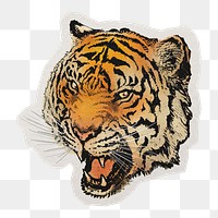 PNG roaring tiger sticker with white border, transparent background