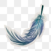 PNG blue feather sticker with white border, transparent background