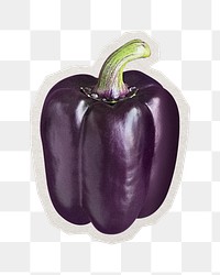 PNG purple bell pepper sticker with white border, transparent background