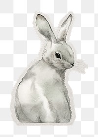 PNG Easter bunny sticker with white border, transparent background