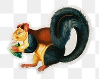 PNG squirrel sticker with white border,  transparent background 