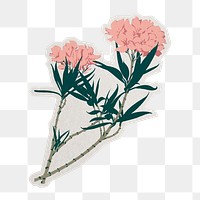 PNG pink vintage flower isticker with white border, transparent background