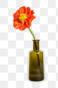 PNG red poppy flower sticker with white border,  transparent background