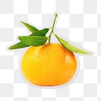 PNG orange fruit sticker with white border, transparent background