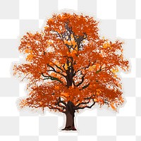 PNG autumn tree sticker with white border, transparent background