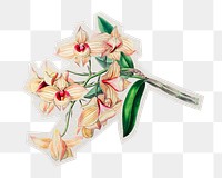 PNG vintage flower sticker with white border, transparent background