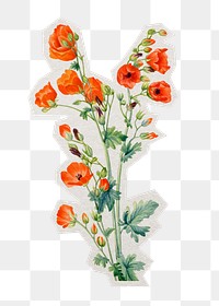 PNG Scarlet globe mallow flower sticker with white border, transparent background 