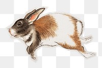 PNG Japanese hare sticker with white border, transparent background 