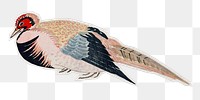 PNG Japanese pheasant sticker with white border, transparent background