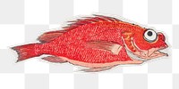 PNG red snapper fish sticker with white border, transparent background 