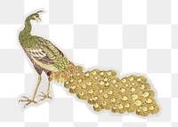 PNG vintage peacock sticker with white border, transparent background 