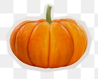 PNG orange pumpkin sticker with white border, transparent background