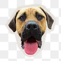 PNG brown dog head sticker with white border, transparent background