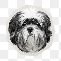 PNG Shih tzu dog  sticker with white border, transparent background