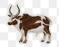 PNG Namagua ox sticker with white border,  transparent background 