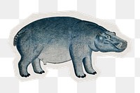 PNG Hippopotamus sticker with white border,  transparent background 