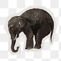 PNG aesthetic elephant sticker with white border, transparent background 