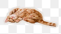 PNG Ginger shorthair cat  sticker with white border, transparent background