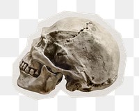PNG human skull sticker with white border, transparent background