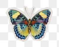 African butterfly png sticker, paper cut on transparent background