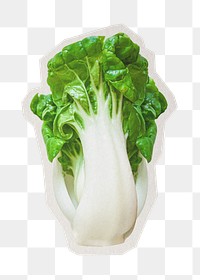 Bokchoi png sticker, paper cut on transparent background