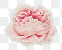 Blooming rose png sticker, paper cut on transparent background