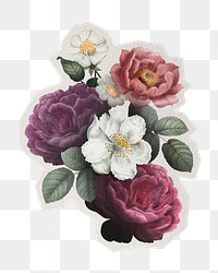 Png hand drawn roses sticker, paper cut on transparent background