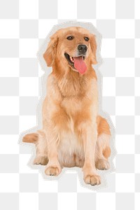 Golden Retriever png dog sticker, paper cut on transparent background
