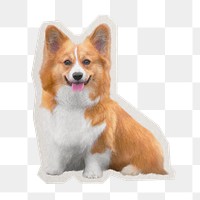 Welsh corgi png dog sticker, paper cut on transparent background