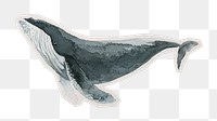 Humpback whale png watercolor sticker, paper cut on transparent background