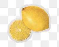 Yellow lemon sticker, paper cut on transparent background