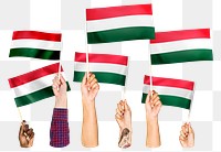 Hands waving png Hungarian flags, transparent background