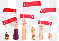Hands waving png Singaporean flags, transparent background