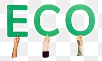 Eco word png element, transparent background