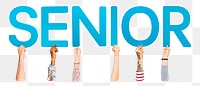 Senior word png element, transparent background