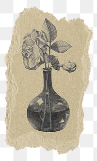 PNG Rose flower vintage illustration, ripped paper transparent background. Remixed by rawpixel.