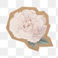 White flower png, cut out paper element, transparent background